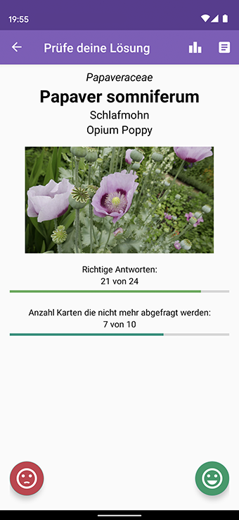Screenshot Antwortseite